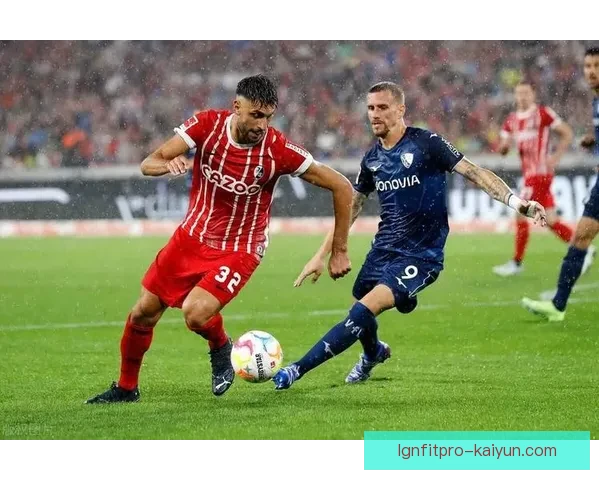 狼堡在新赛季表现稳健，持续提升竞争力引发关注